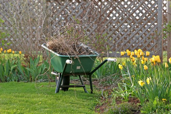 Flower Bed Cleanup Service in Port Saint Lucie