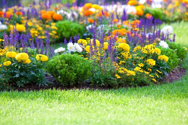Flower Bed Maintenance in Port Saint Lucie