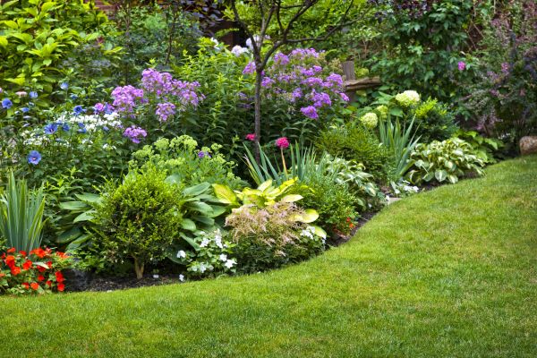 Flower Bed Service in Port Saint Lucie