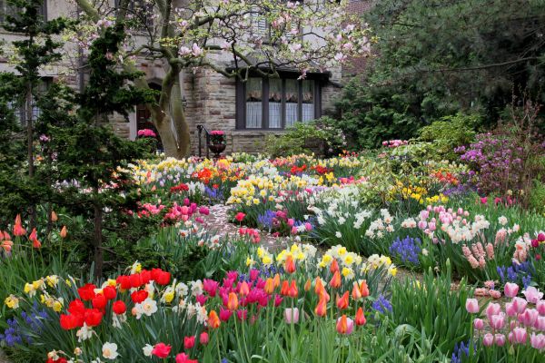 Garden Maintenance Service in Port Saint Lucie
