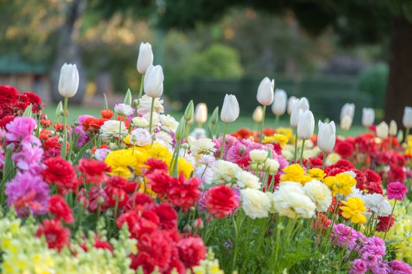 Gardening Service in Port Saint Lucie