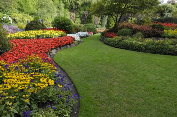 Landscaping Maintenance in Port Saint Lucie