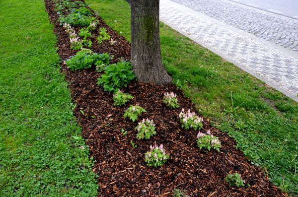 Mulch Replacement Service in Port Saint Lucie