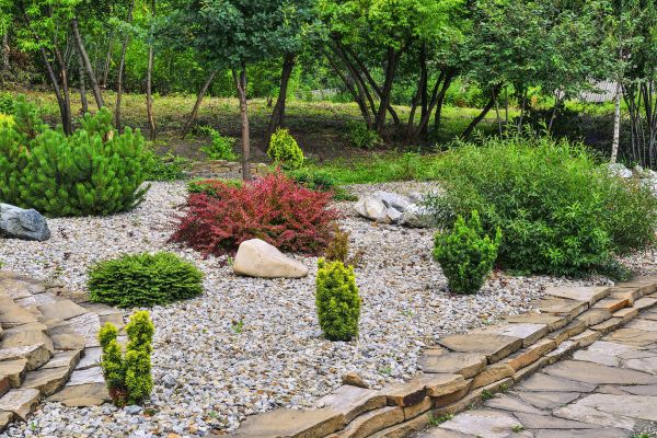 Rock Landscaping in Port Saint Lucie