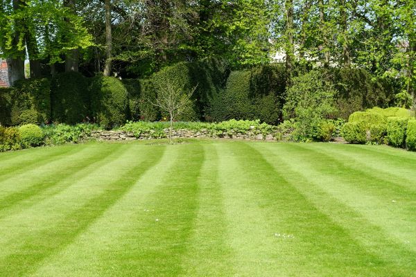 Lawn Renovation in Port Saint Lucie