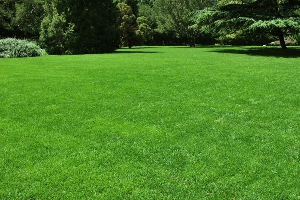 Lawn Landscaping in Port Saint Lucie