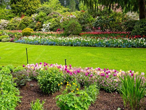 Residential Landscape Design in Port Saint Lucie