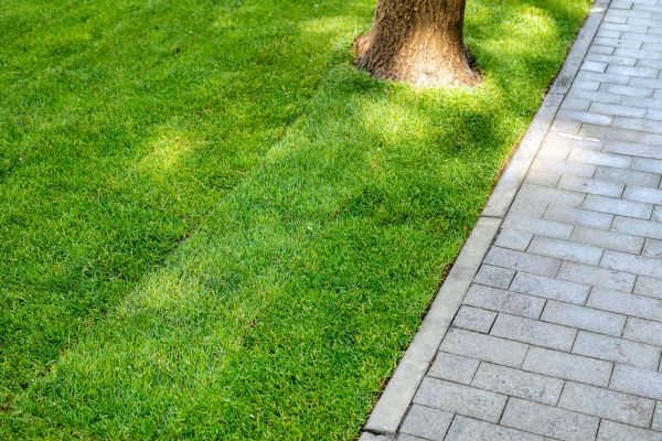 Border Stone Installation in Port Saint Lucie