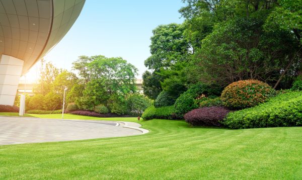 Business Landscape Design in Port Saint Lucie