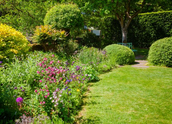 Yard Landscaping Service in Port Saint Lucie