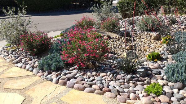 Xeriscape Landscaping in Port Saint Lucie