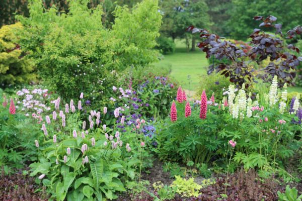 Flower Bed Planting in Port Saint Lucie