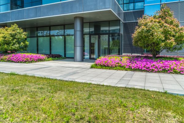 Commercial Gardening in Port Saint Lucie