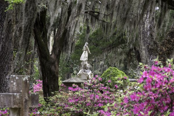 Cemetery Landscaping in Port Saint Lucie