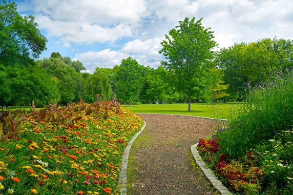 Park Landscaping in Port Saint Lucie