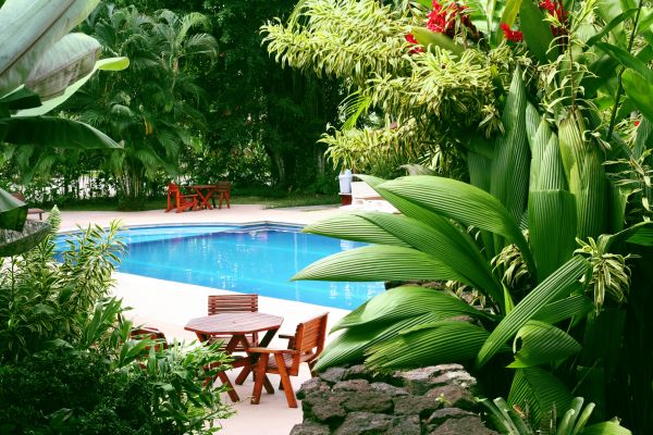Tropical Garden Landscaping in Port Saint Lucie