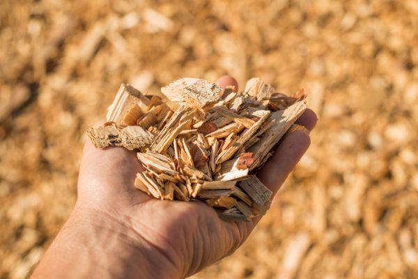 Wood Chips Spreading in Port Saint Lucie