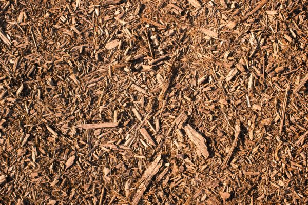 Wood Chips Removal in Port Saint Lucie