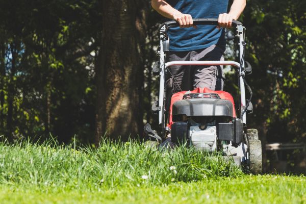 Garden Trimming Service in Port Saint Lucie