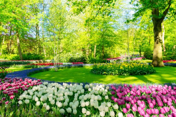 Flower Landscaping in Port Saint Lucie