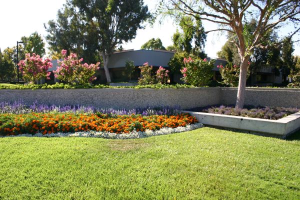 Commercial Landscape Service in Port Saint Lucie