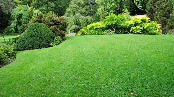 Commercial Landscape Design in Port Saint Lucie