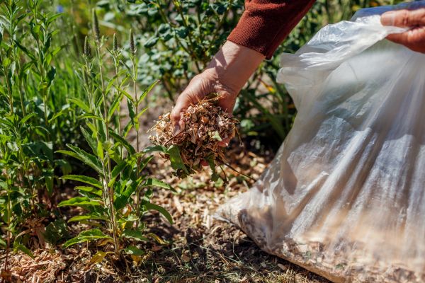 Wood Mulch Installation in Port Saint Lucie