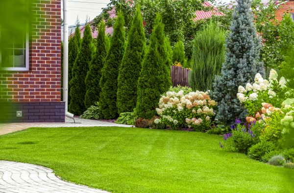 Spring Landscaping in Port Saint Lucie