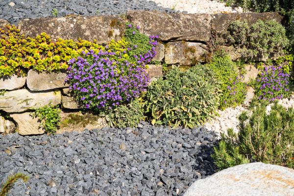 Landscaping Rocks Installation in Port Saint Lucie