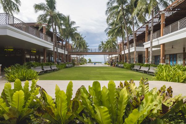 Commercial Lawn Renovation in Port Saint Lucie