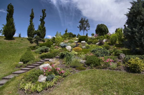 Steep Terrain Landscaping in Port Saint Lucie