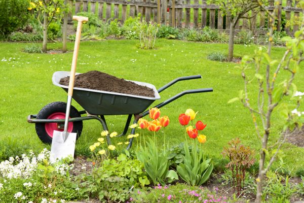 Spring Yard Renovation in Port Saint Lucie