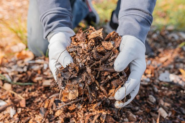 Shredded Mulch Installation in Port Saint Lucie