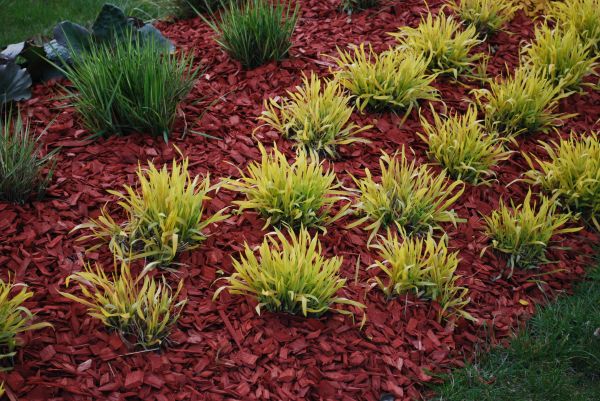 Red Mulch Installation in Port Saint Lucie