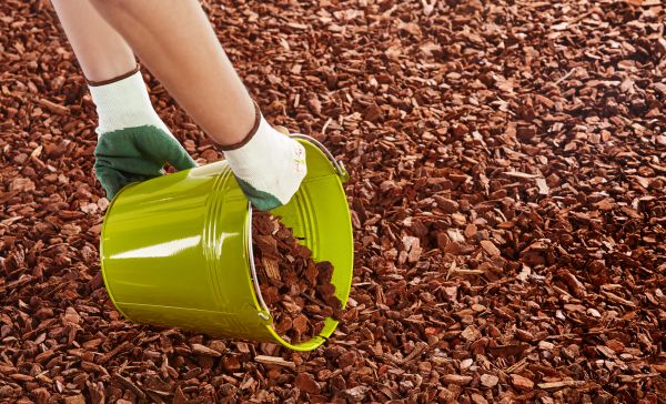 Wood Chip Landscaping in Port Saint Lucie