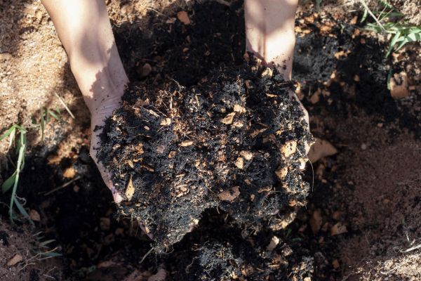 Organic Mulch Installation in Port Saint Lucie