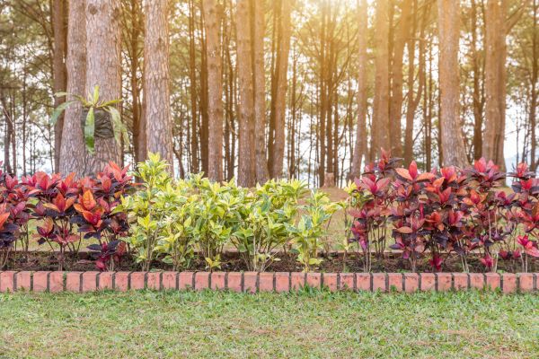 Small Garden Landscaping in Port Saint Lucie