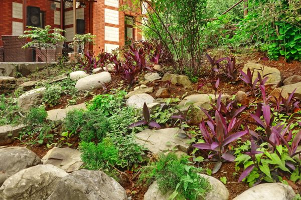 Rock Garden Landscaping in Port Saint Lucie