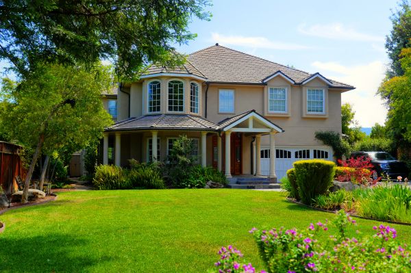 Large Yard Landscaping in Port Saint Lucie