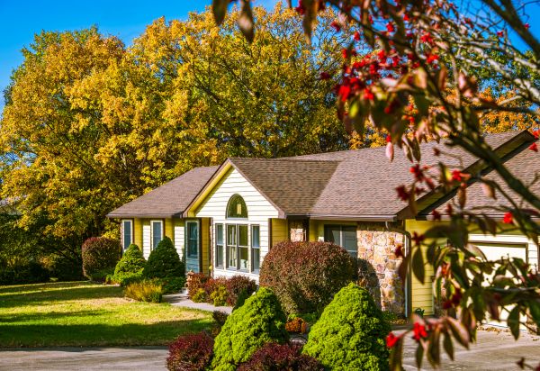Ranch Landscaping in Port Saint Lucie