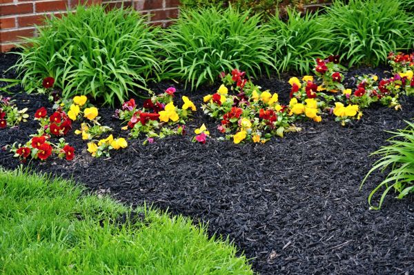 Apartment Mulching in Port Saint Lucie